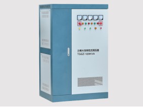 TDGZ/TSGZ大功率柱式电动调压器